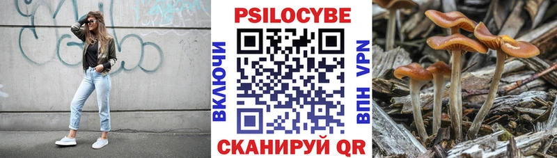 даркнет клад  Благодарный  Псилоцибиновые грибы мухоморы 