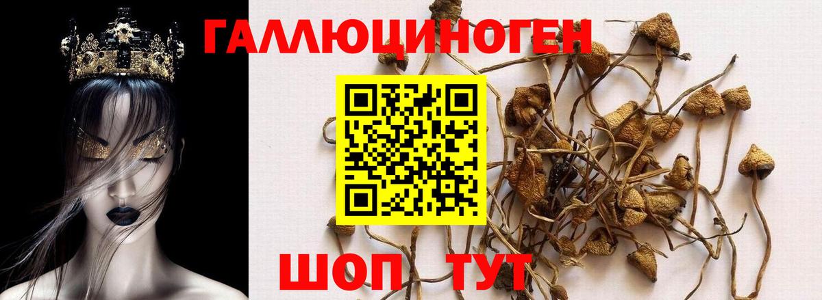Псилоцибиновые грибы прущие грибы  Вход с VPN  Благодарный 